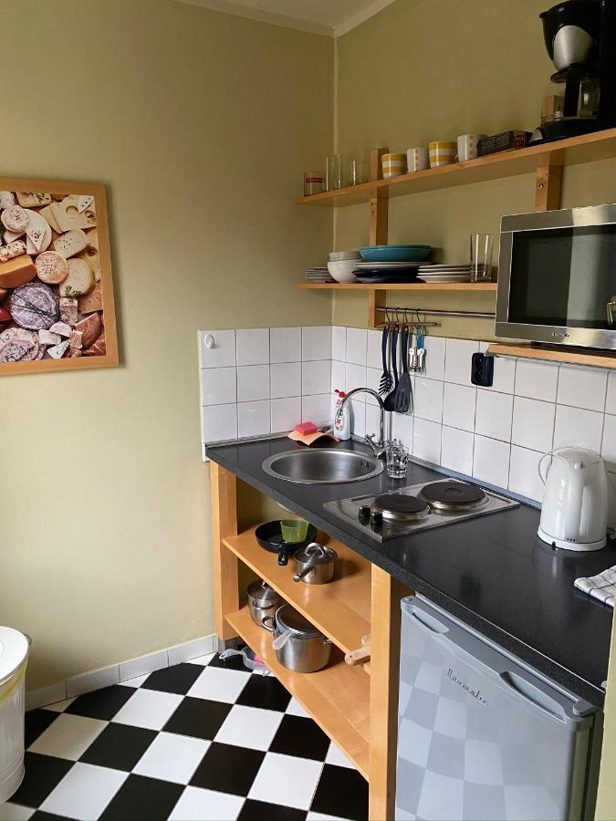 Apartments Merlin Mariánské Lázně المظهر الخارجي الصورة