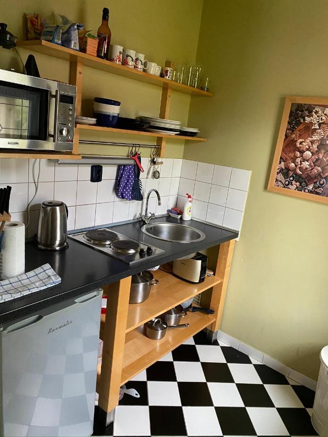 Apartments Merlin Mariánské Lázně المظهر الخارجي الصورة